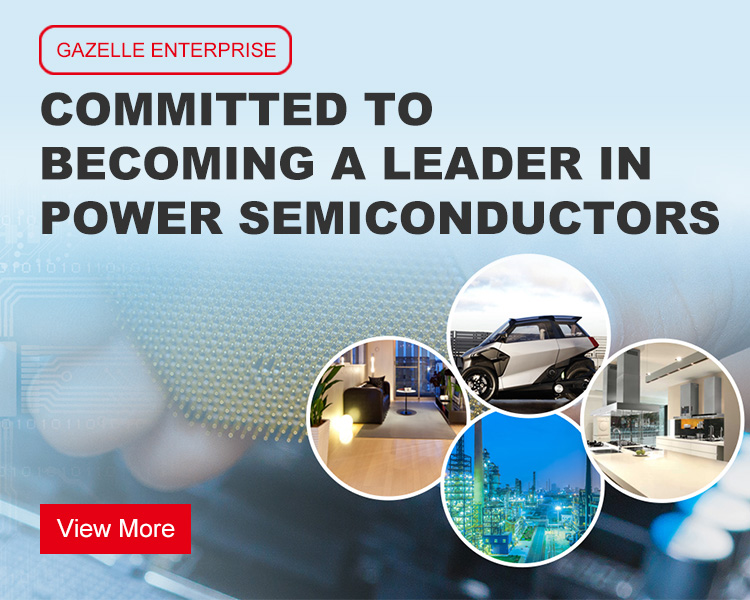 Jiangsu Donghai Semiconductor Co., Ltd