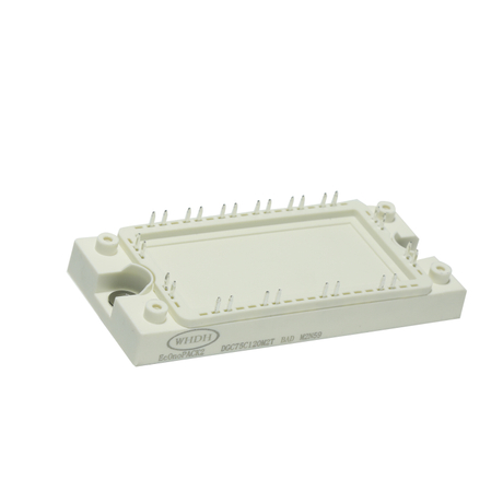 מודול המהפך של NPC 3 דרגות מודול IGBT DGQ450C65M2T
